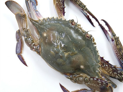 국산 활꽃게 숫게 1kg 4미
