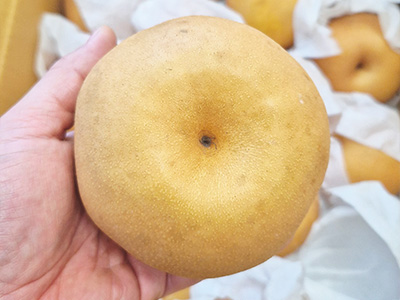 배 600g 2입