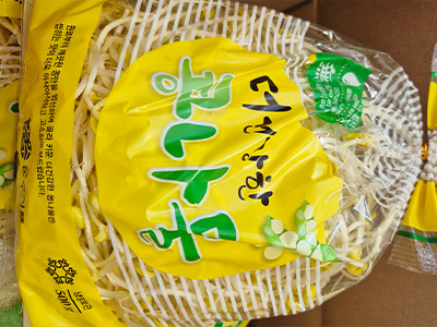 콩나물 500g