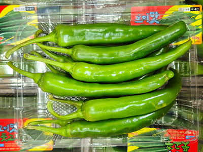 오이고추 300g