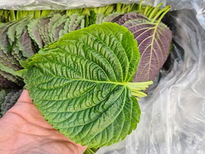 깻잎 60g (30장 내외)